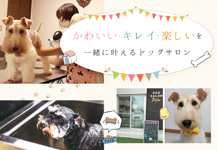 トリミングなら東大阪市のドッグサロン Inu トリミングなら東大阪市のドッグサロン Inu
